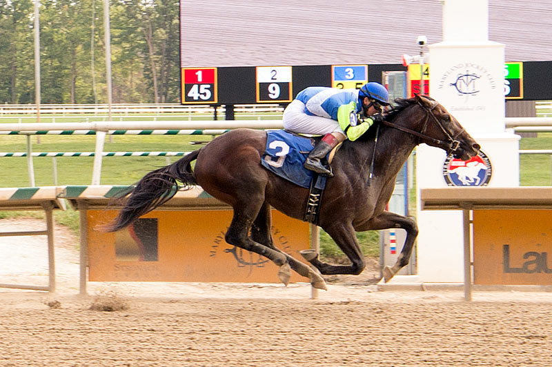 No Dozing 2022 Kentucky Derby & Oaks May 6 and May 7, 2022