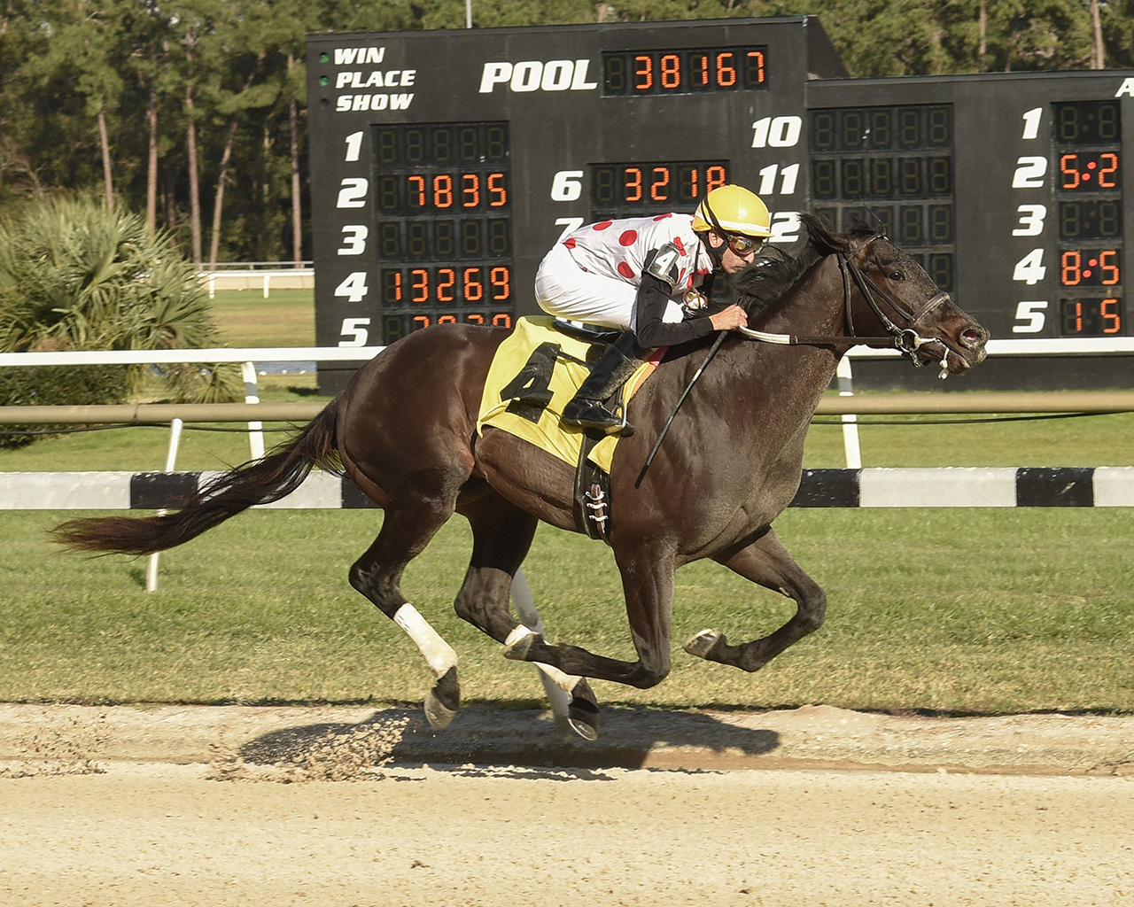 Who Won The Kentucky Derby Today 2022? Mastery Wiki