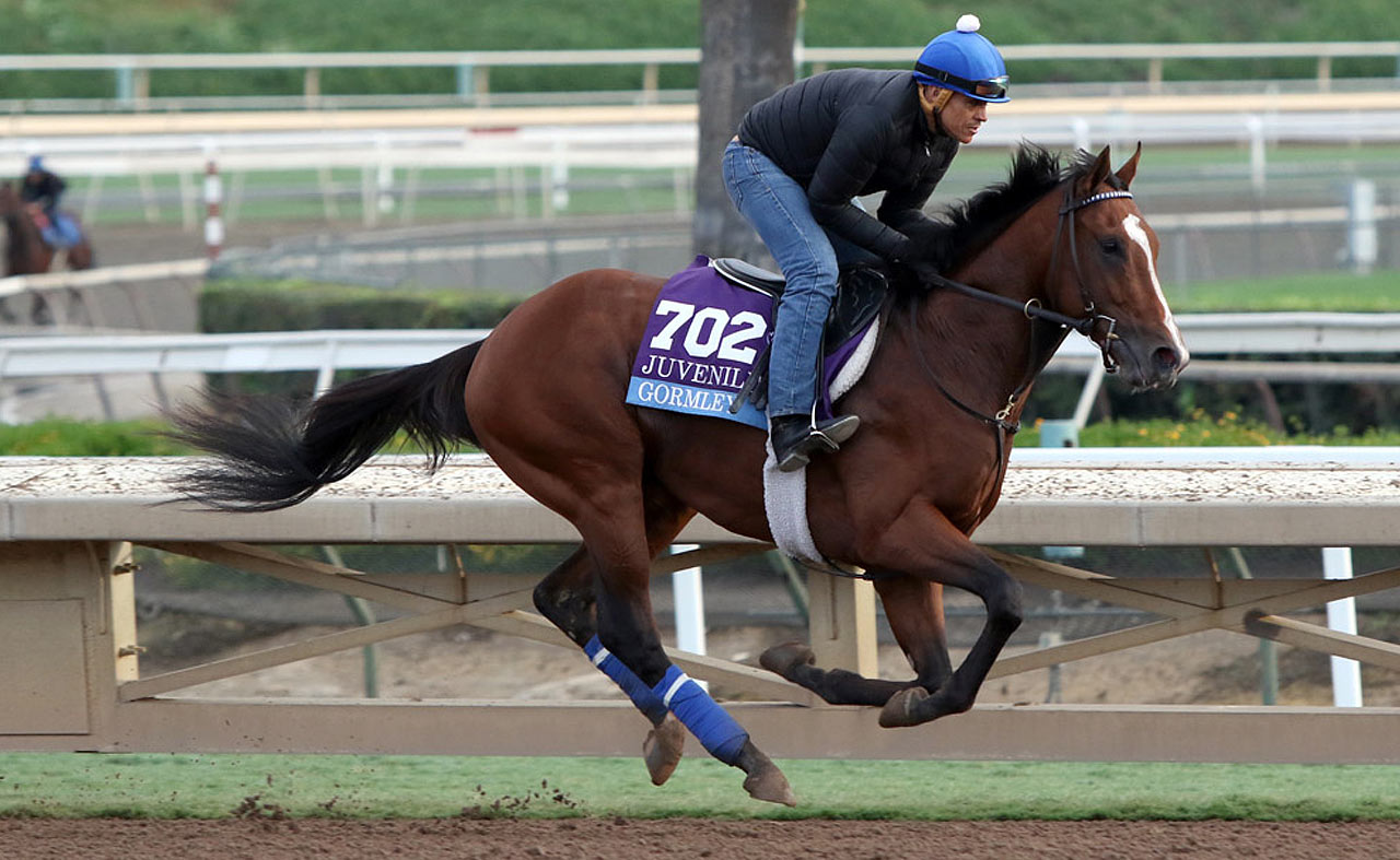 Gormley 2023 Kentucky Derby & Oaks May 5 and May 6, 2023