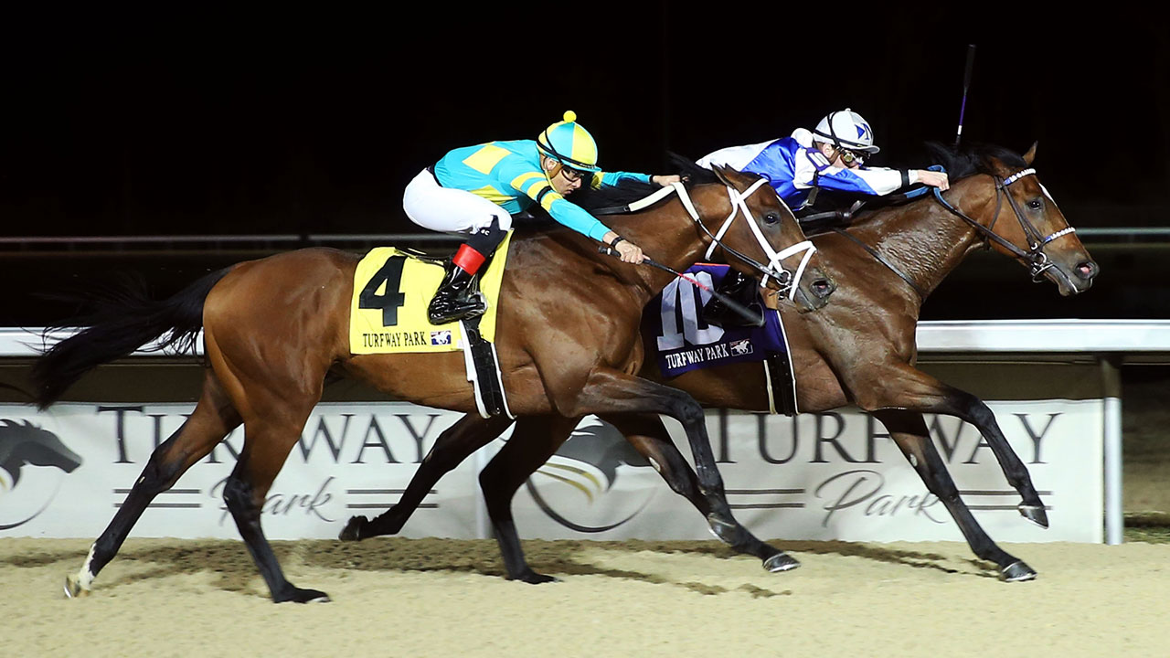 Tiz the Bomb 2022 Kentucky Derby & Oaks May 6 and May 7, 2022