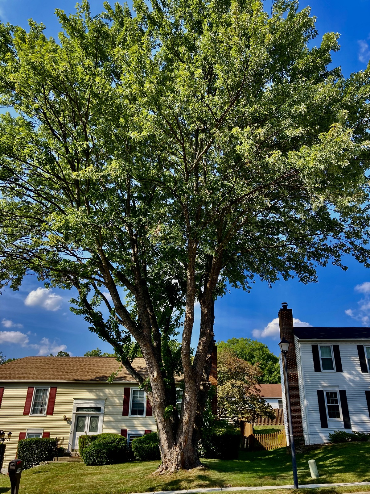 Gallery Raceway Farms Homeowners Association