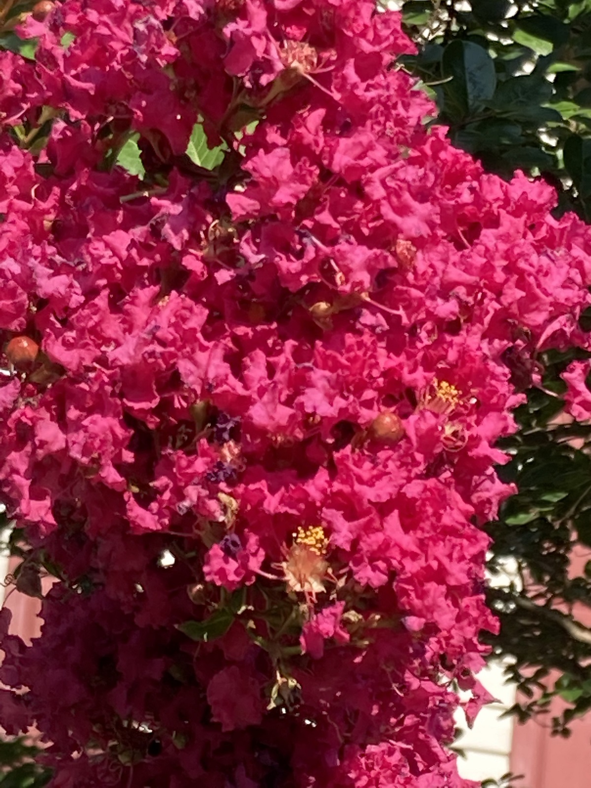 Gallery Raceway Farms Homeowners Association