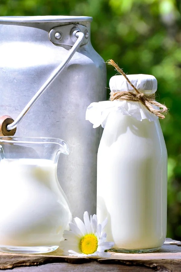 How Long Can Milk Sit Out Rachel Baker