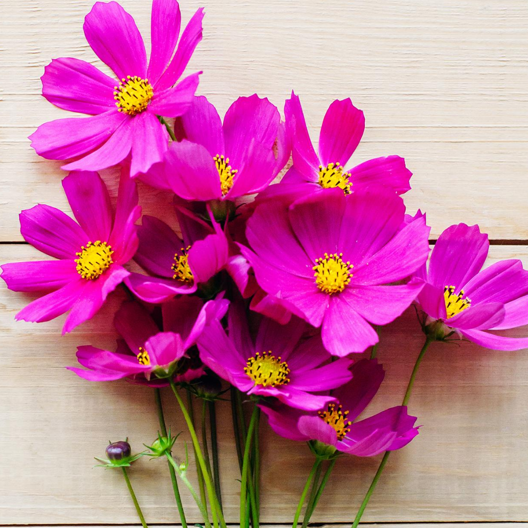 The Best Flower Gift For Each Wedding Anniversary Rachel Cho Floral