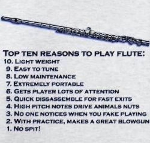 Flute Meme Friday/Saturday, Part V Rachel Taylor Geier