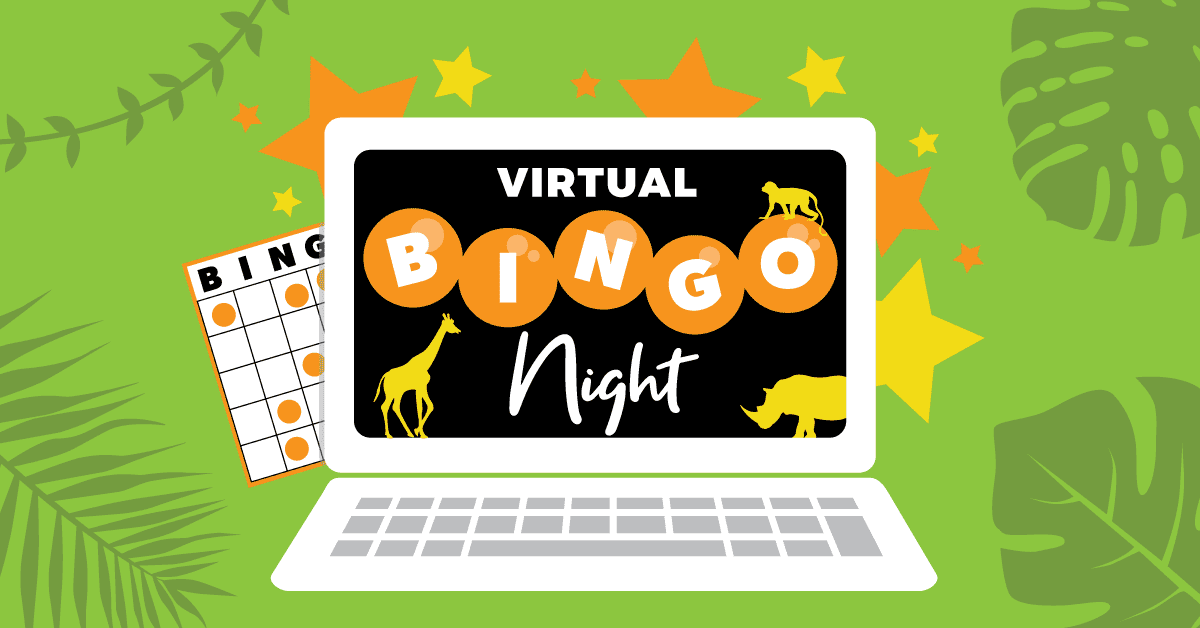 Virtual Bingo Game Zoom / Book Bingo tickets for Virtual Bingo from AJK