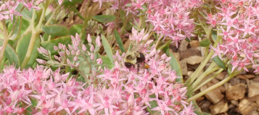 Aza Reciprocal List 2023 Aza Reciprocal List | Racinezoo.org