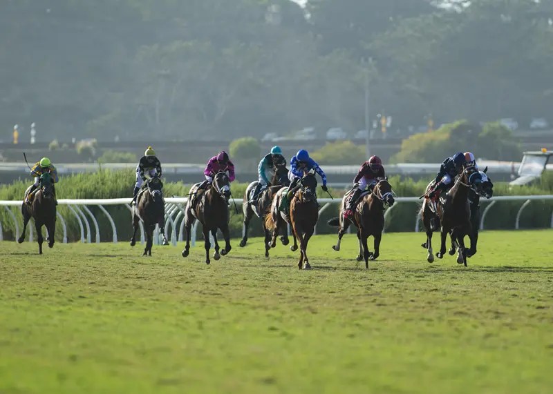 2023 Del Mar Juvenile Turf Preview Boltage Favored Following