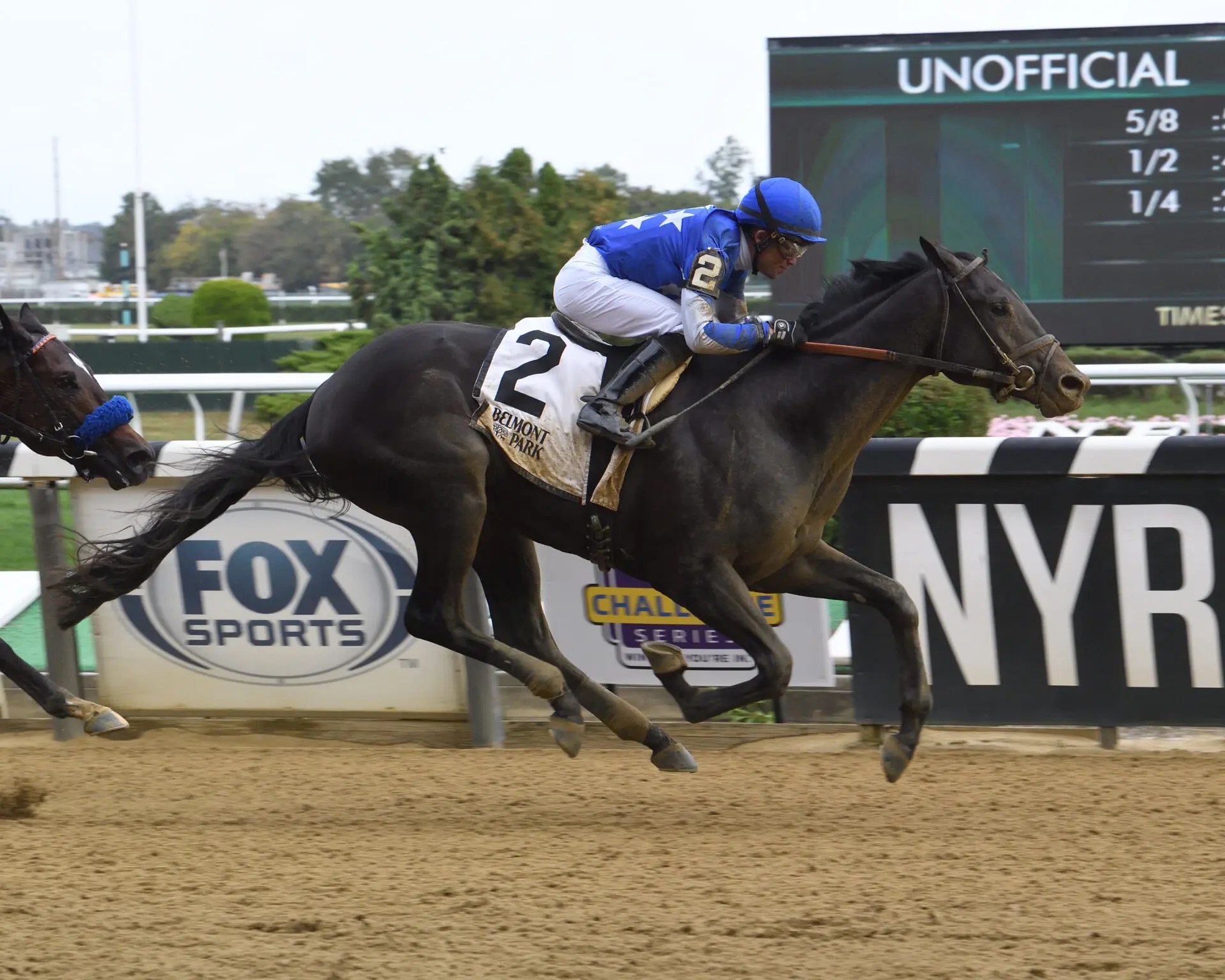 2022 Kentucky Derby Contenders Zandon Racing Dudes