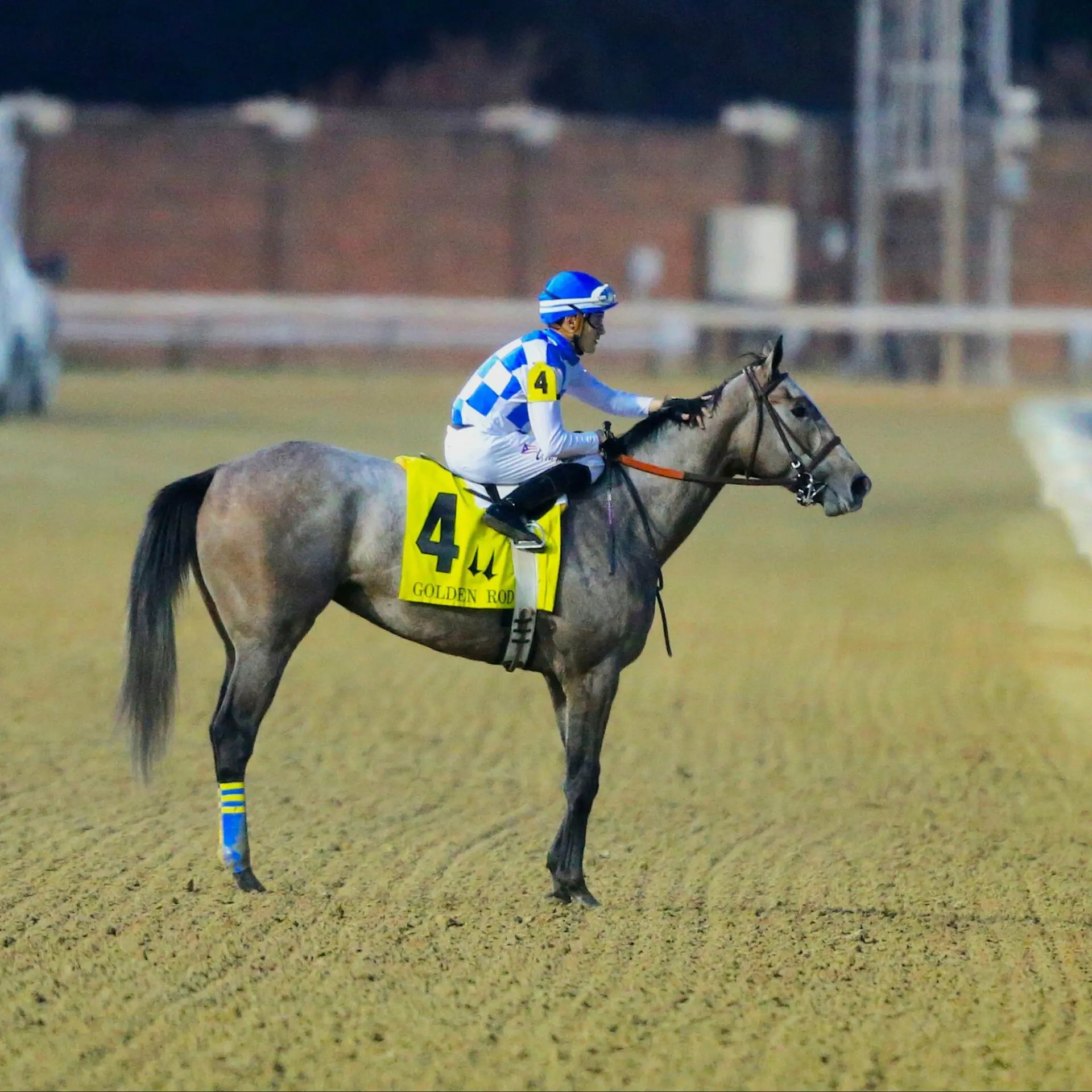 2023 Rachel Alexandra Stakes Preview & FREE Picks Hoosier Philly