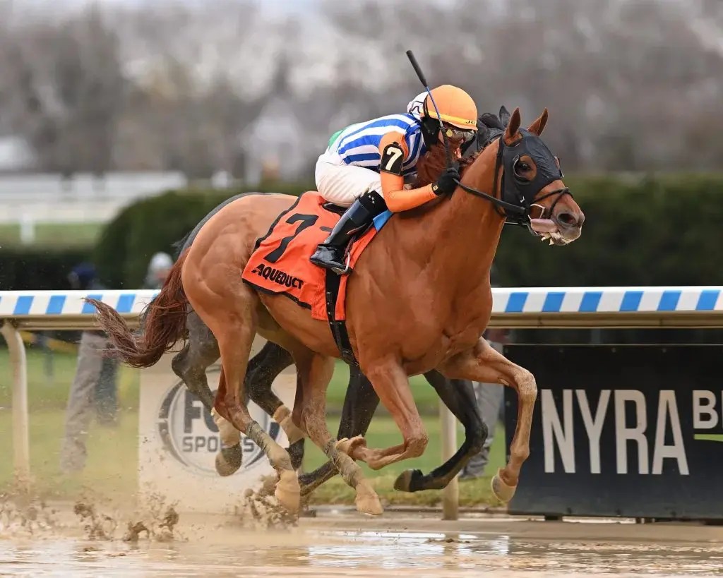 2022 Remsen Stakes Replay Dubyuhnell Outduels Arctic Arrogance In