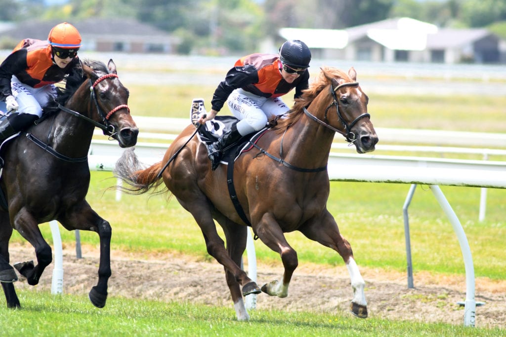 Vile takes patient approach with promising threeyearold