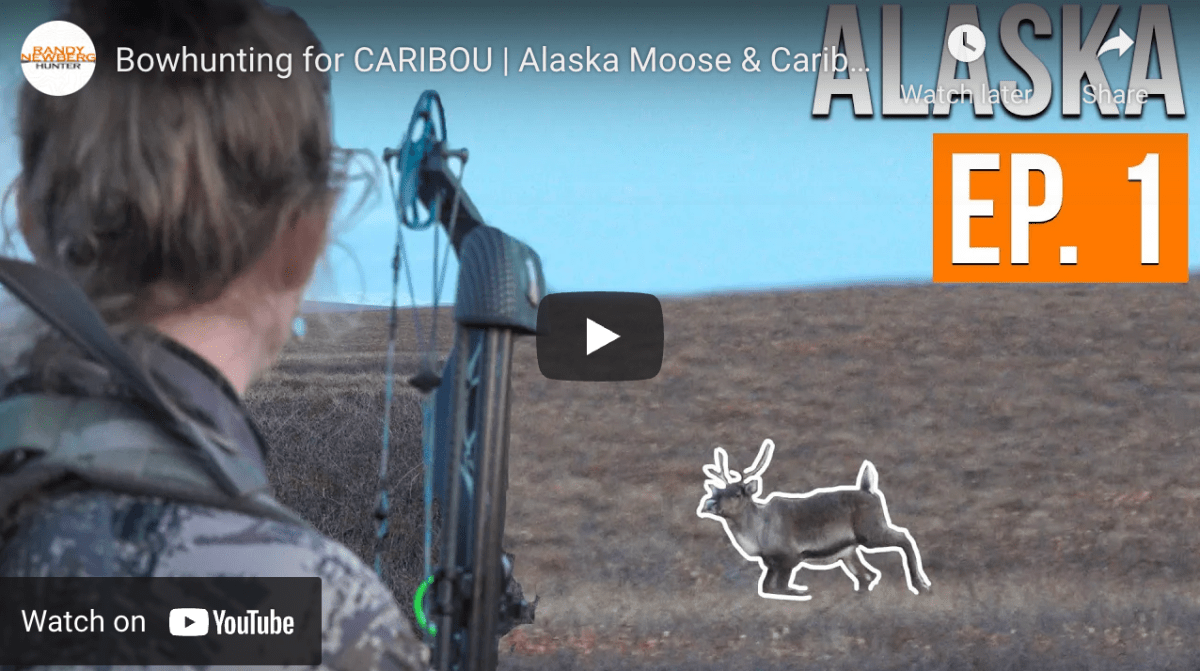 Video Bowhunting Caribou in Alaska (Episode 1) Rack Camp