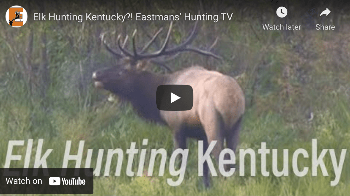 Video Elk Hunting in Kentucky Rack Camp