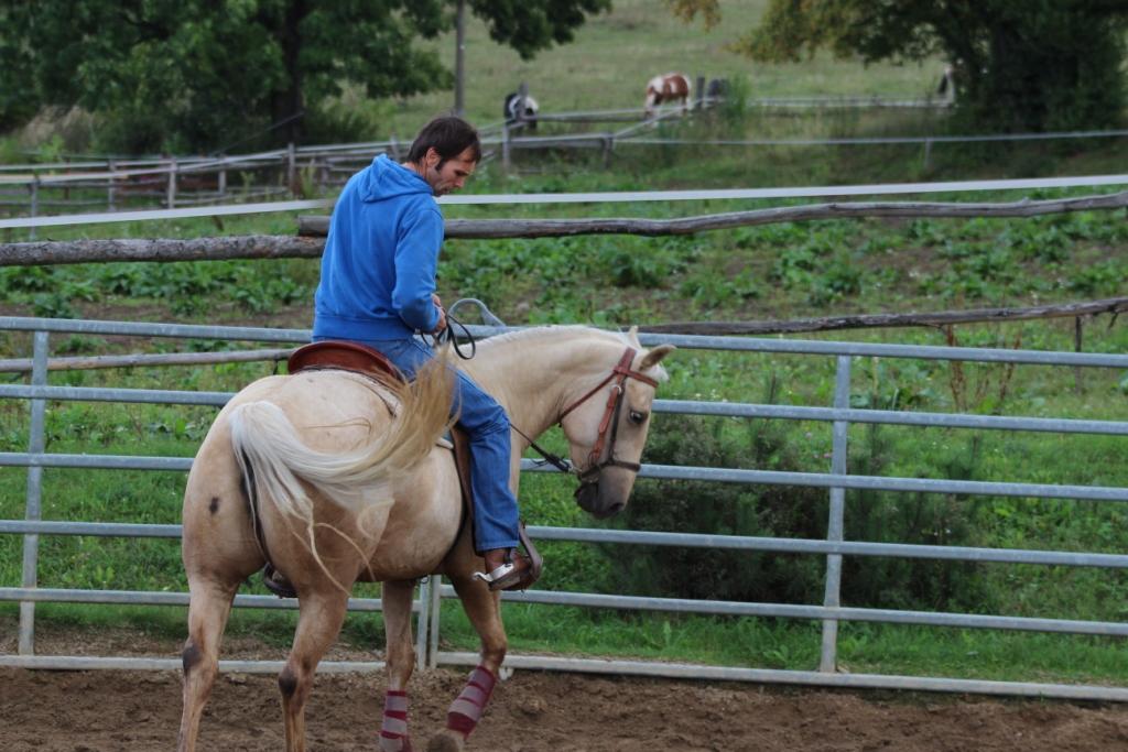 Number one way to improve your horse riding Radek Libal