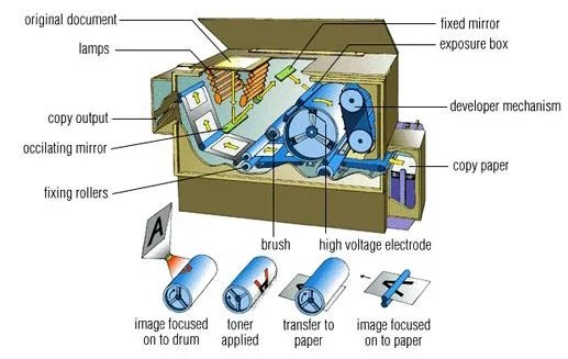 XEROGRAPHY the Process of Photocopying – Radiance Weekly