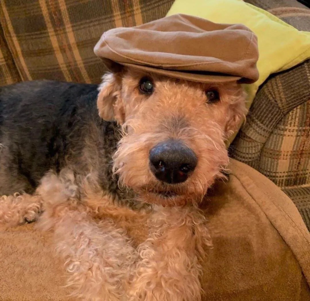 Why Did We Stop Wearing Hats? Radical Dose