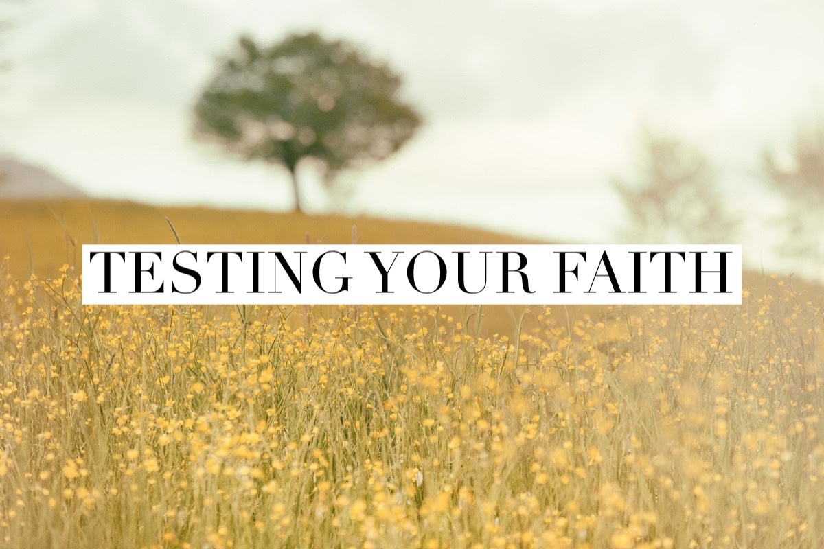 Testing Your Faith Radical Mentoring