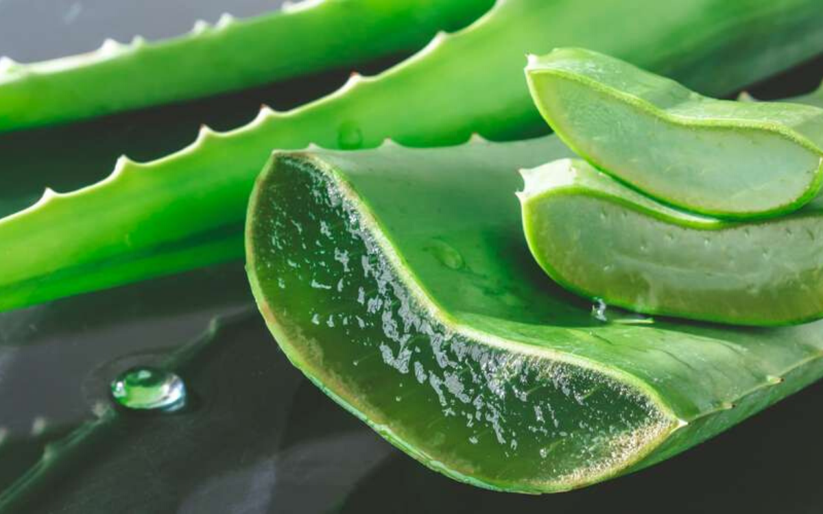 Aloe Vera Radio Islam