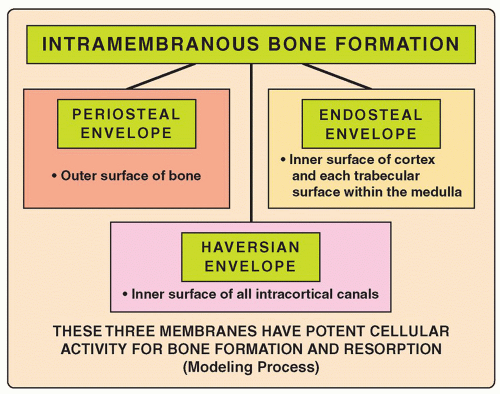 Bone Formation and Growth Radiology Key