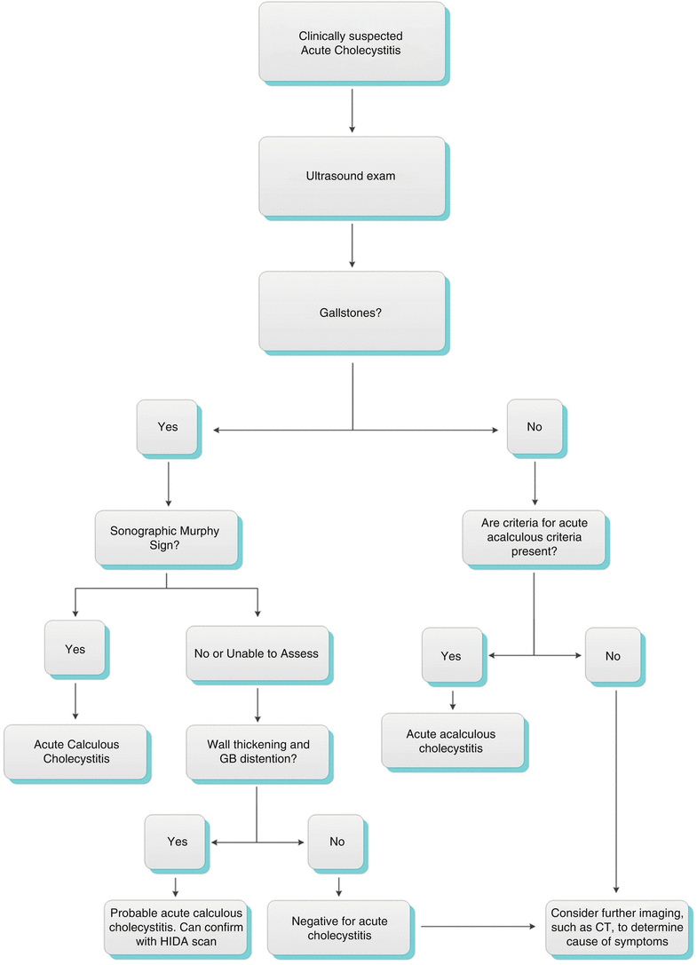 The Gallbladder Radiology Key