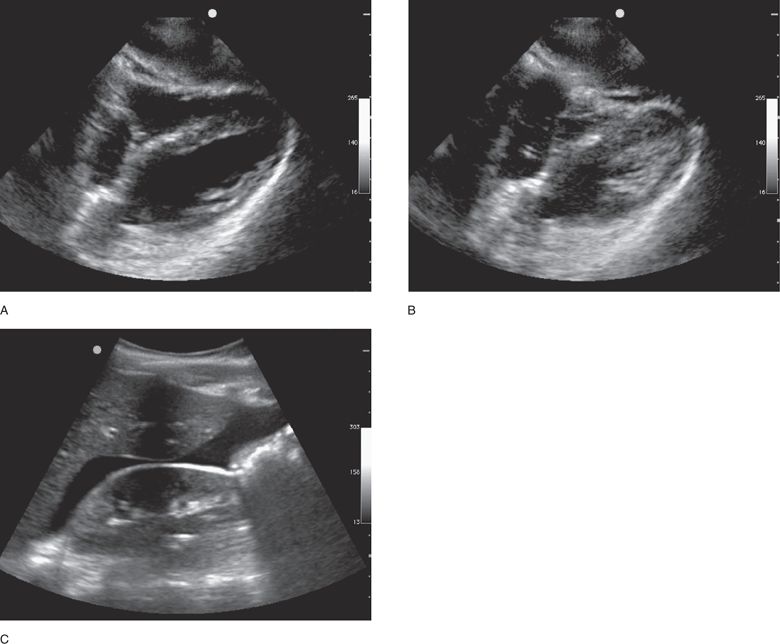 Critical Care Radiology Key
