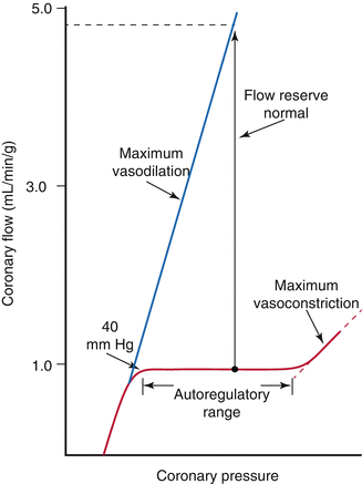 Physiology of Coronary Blood Flow | Radiology Key