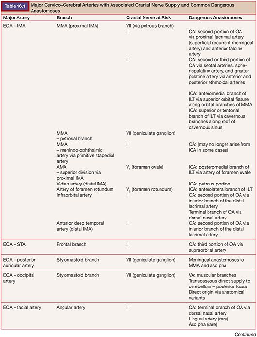 Vascular Tumors Radiology Key