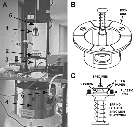 Freeze Fracture and Freeze Etching Radiology Key