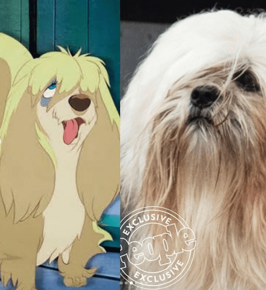 Revelados os cachorros (de verdade!) do filme "A Dama e o Vagabundo