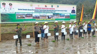 Banjir Besar Turunkan Produksi Padi Solok Selatan 2016
