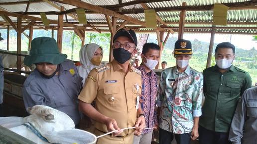 Bupati Luncurkan Program Unggulan Satu Keluarga Satu Sapi