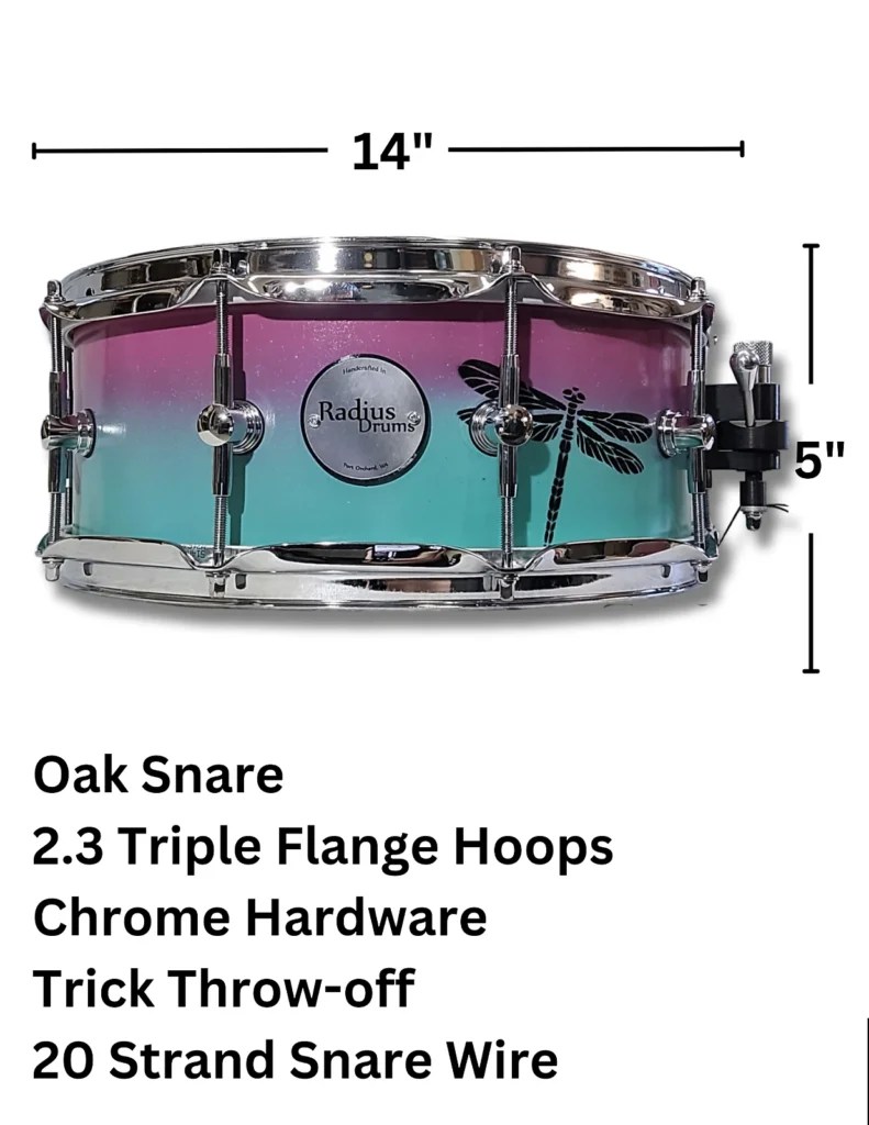 Dragonfly Oak Radius Drums