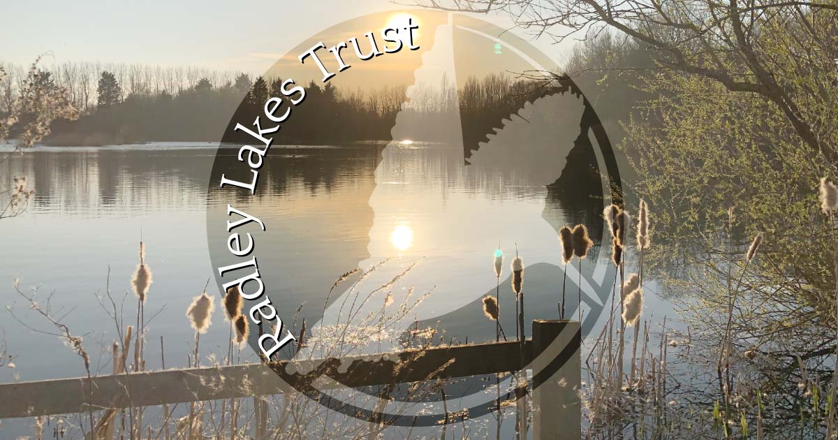 Wildlife Radley Lakes Trust