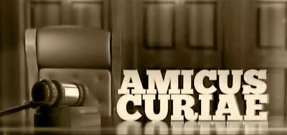 The Curious Case of Amicus Curiae Radley Law