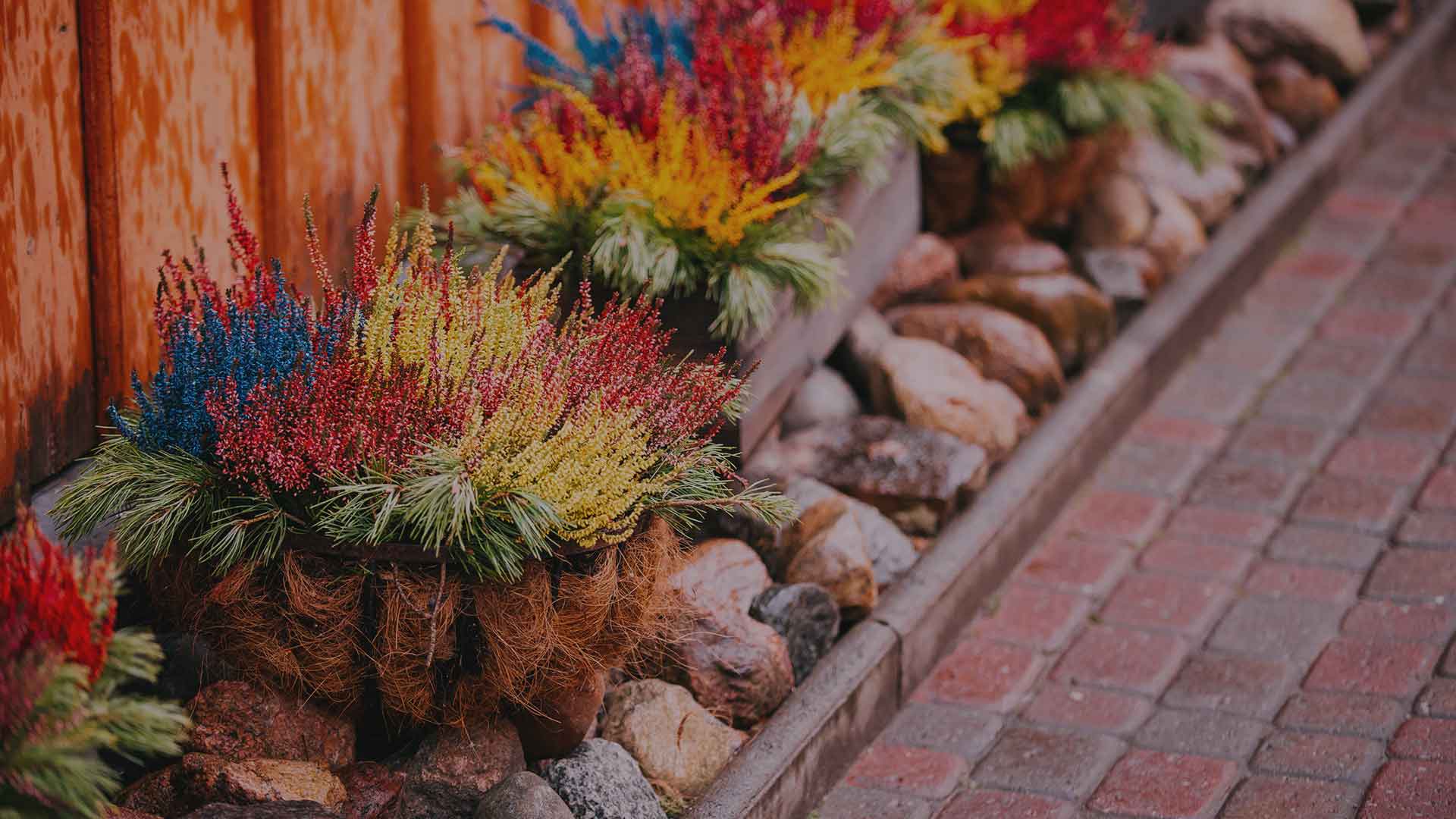 Memphis Landscape Company Radmer's Landscape Design