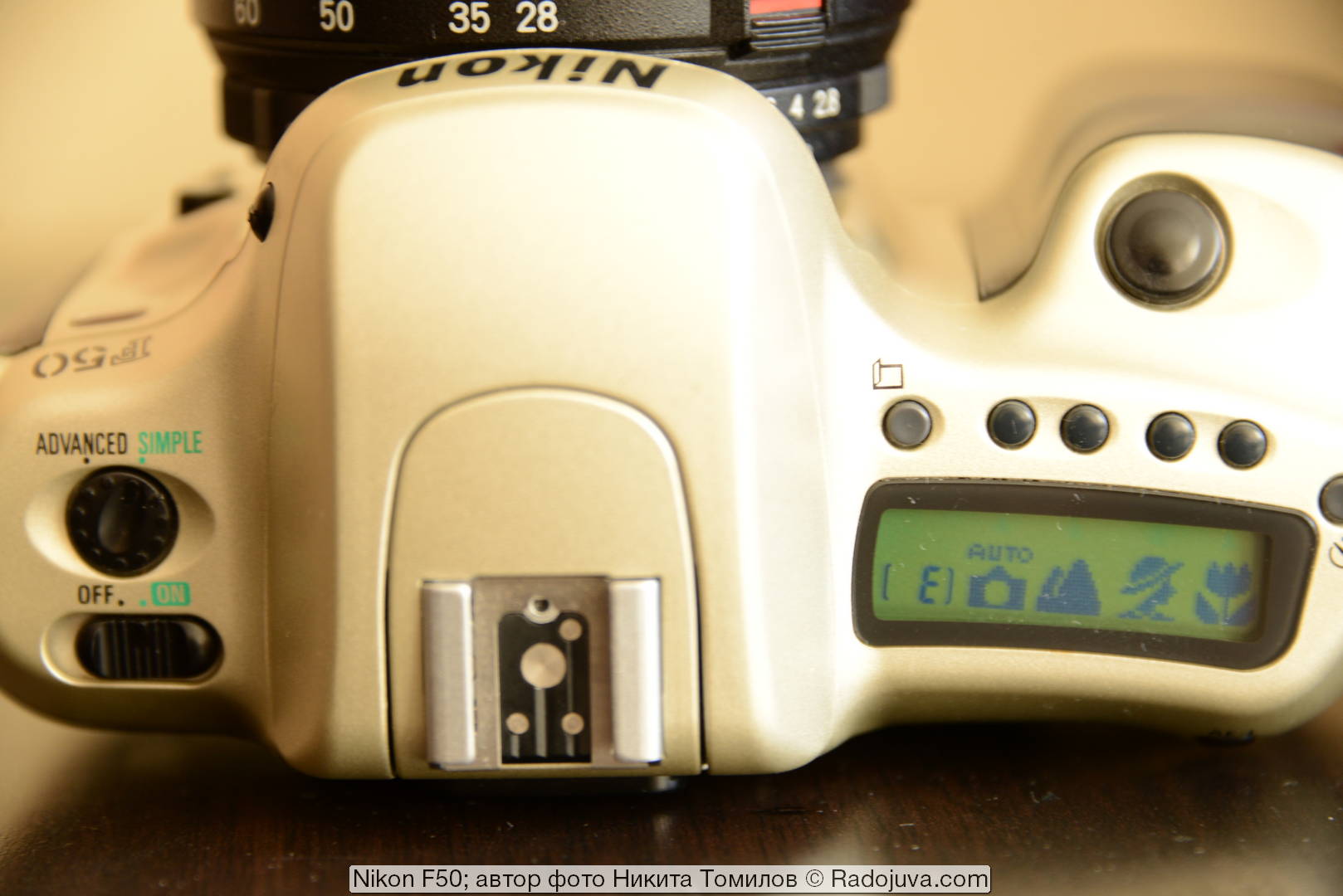 Nikon F50. Review from the reader Radozhiva Happy