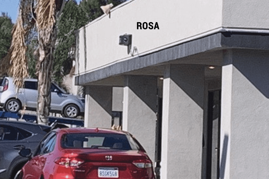 Case Study Midway Car Rental Robotic Assistance Devices (RAD)