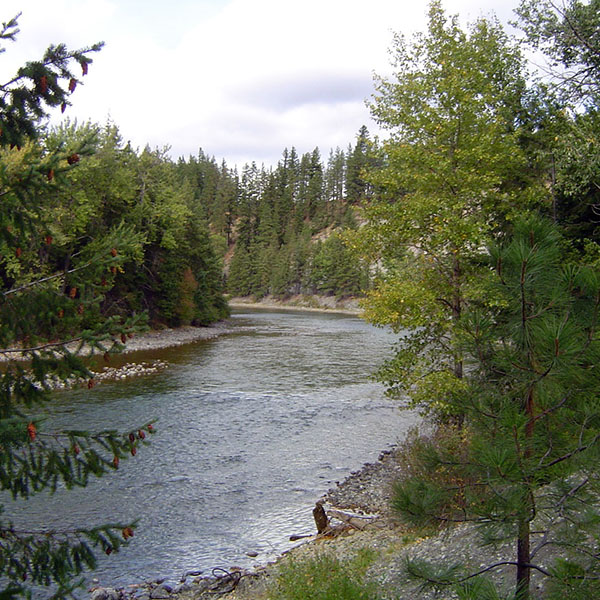 Suncadia Land Stewardship Plan Raedeke Associates