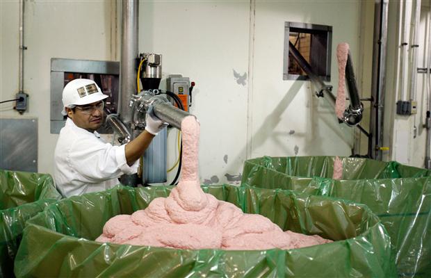 For food safety advocates, the campaign to reject Pink Slime has been