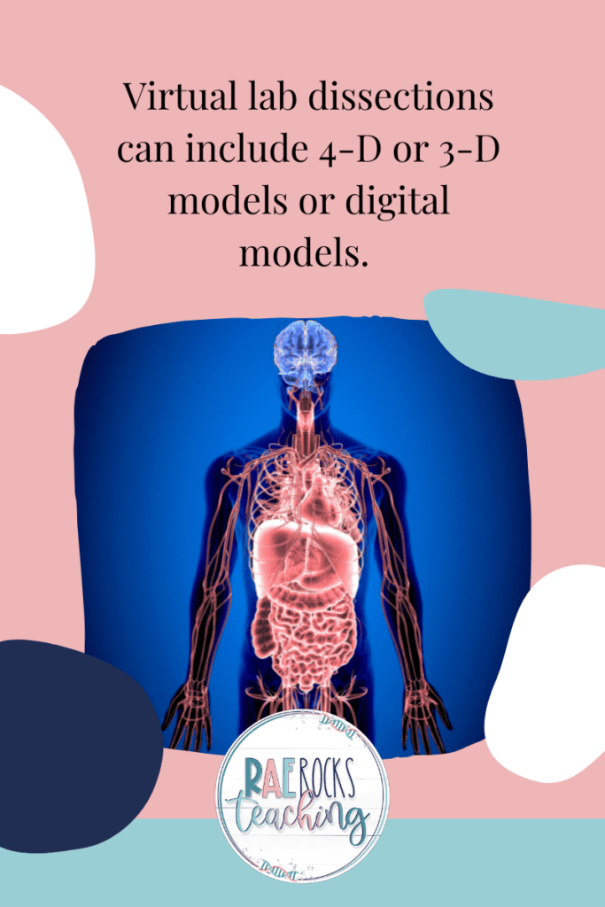 Why You Should Offer a Dissection Virtual Lab to High School Students Rae Rocks Teaching