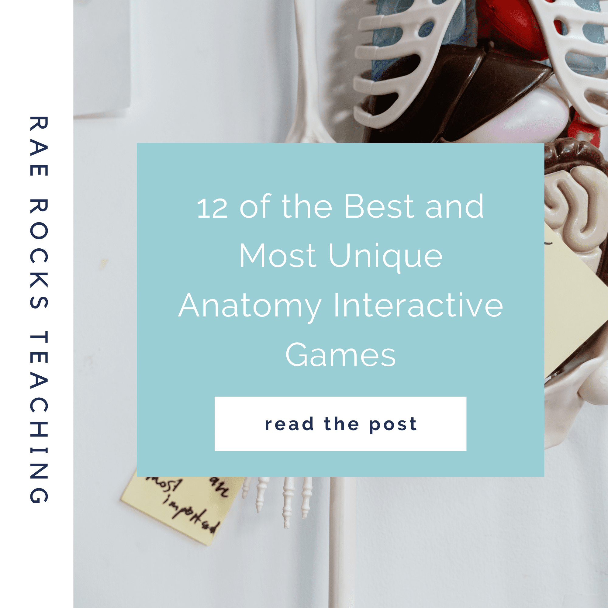 12 of the Best and Most Unique Anatomy Interactive Games Rae Rocks