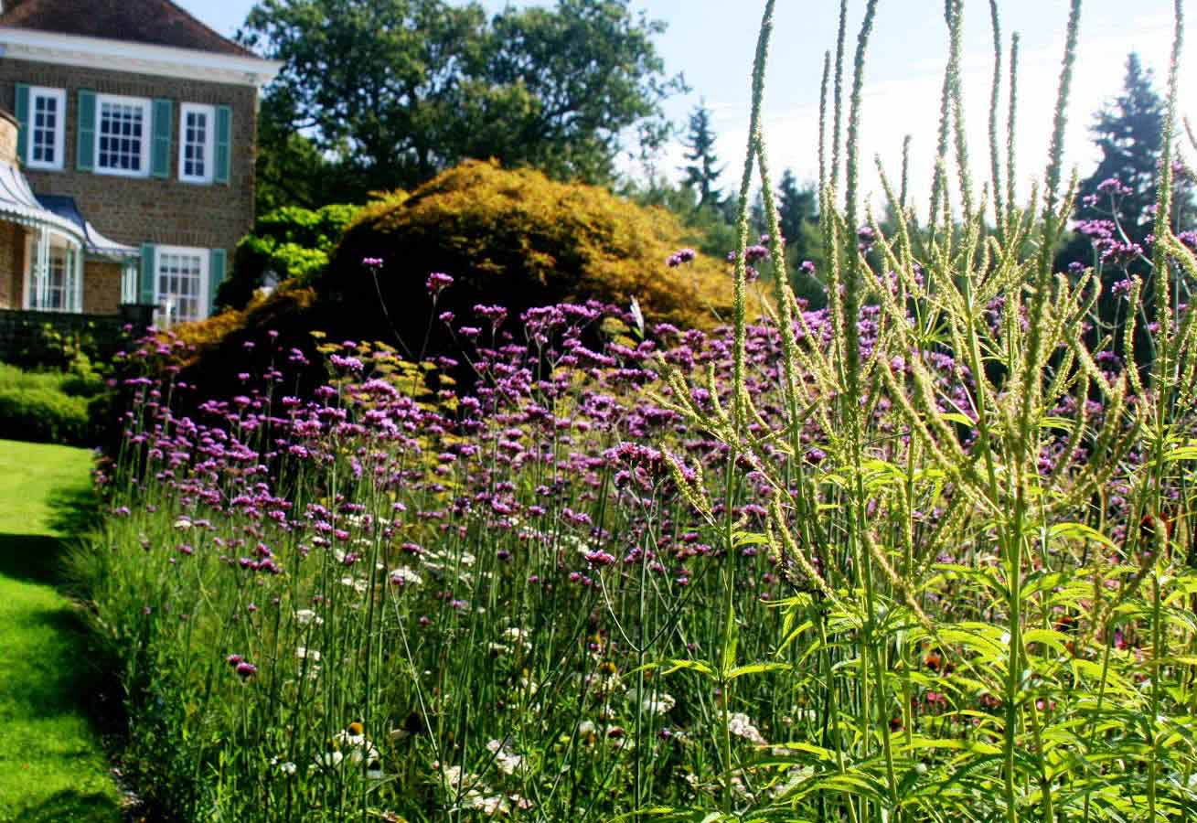 Flowering Functionality Rae Wilkinson Design