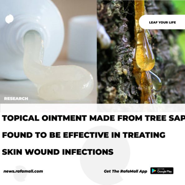 Topical ointment made from tree sap found to be effective in treating