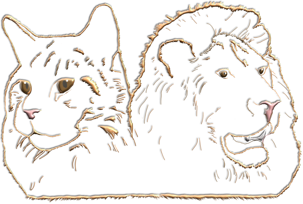 Rafikis Boarding Cattery, Spittal Hardwick Lane, Pontefract