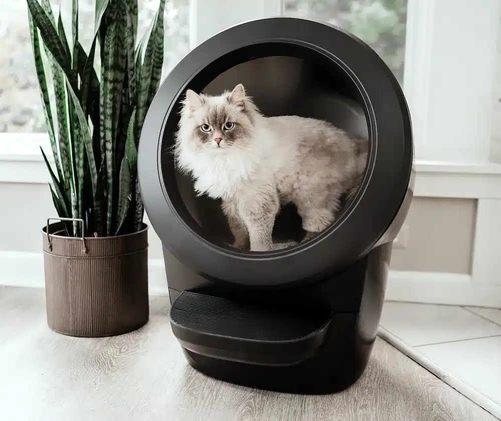 Top 10 Litter Robot Alternatives
