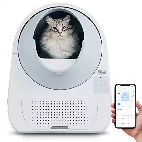 Top 10 Litter Robot Alternatives