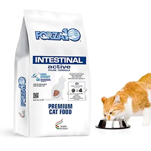 Best Food for Cats with IBS and IBD Top Picks for Sensitive Stomachs