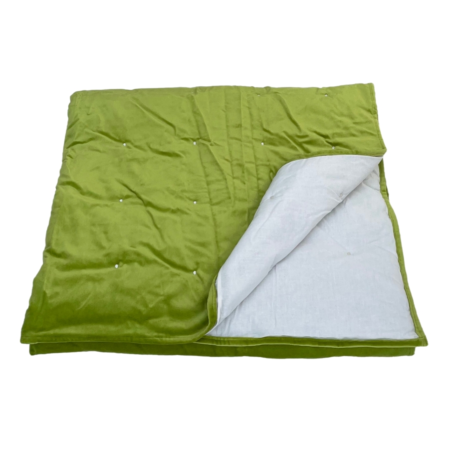 Lime Green Velvet Blanket Ragged Rose
