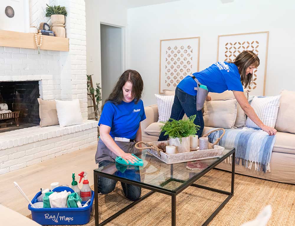 Maid Service Rag Mops Cleaning Service